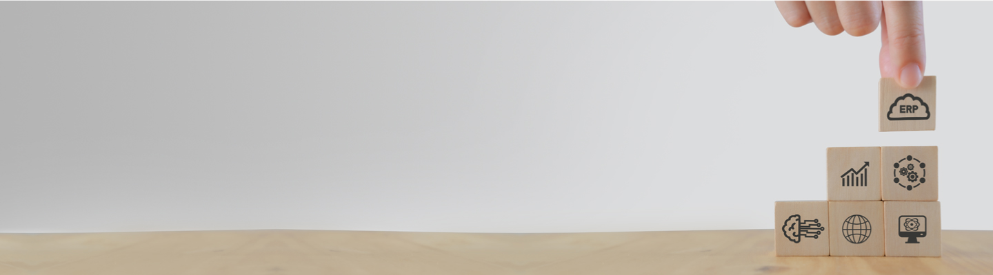 erp-desktop erp-desktop