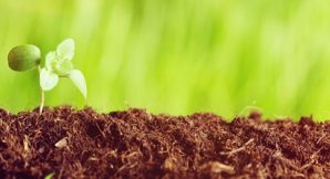 2017-organic-growth-charter-with-811-555x260 2017-organic-growth-charter-with-811-555x260