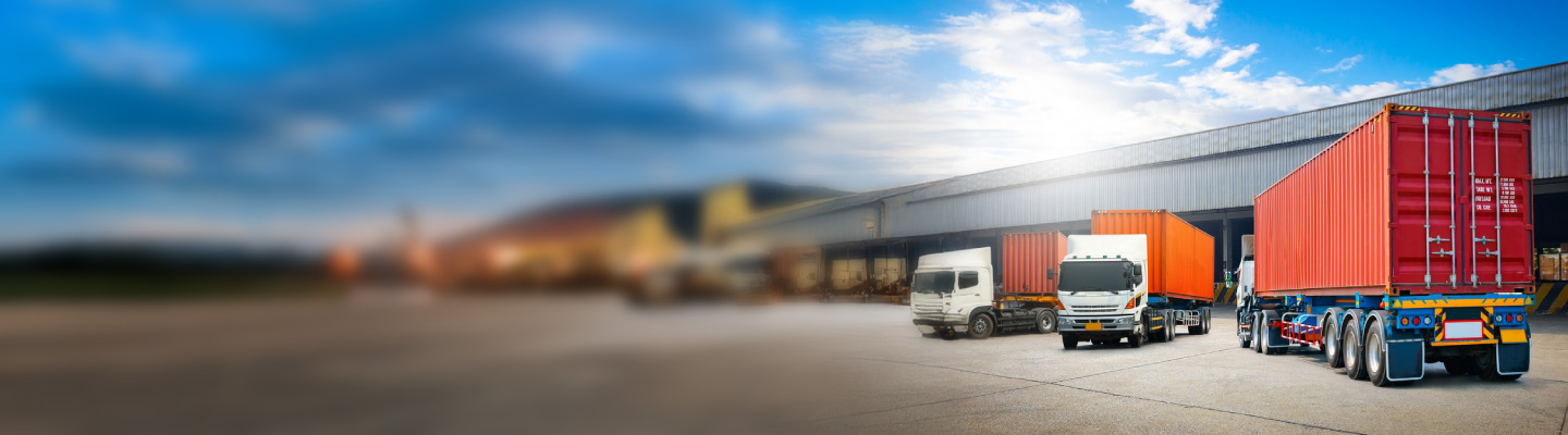 import-export-firms-d import-export-firms-d