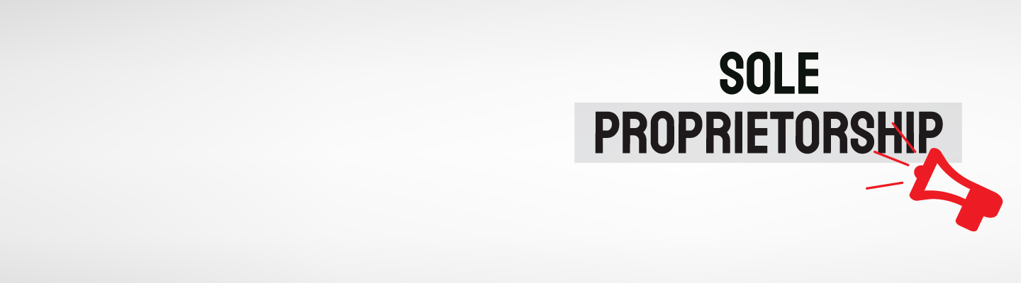 sole proprietorship sole proprietorship