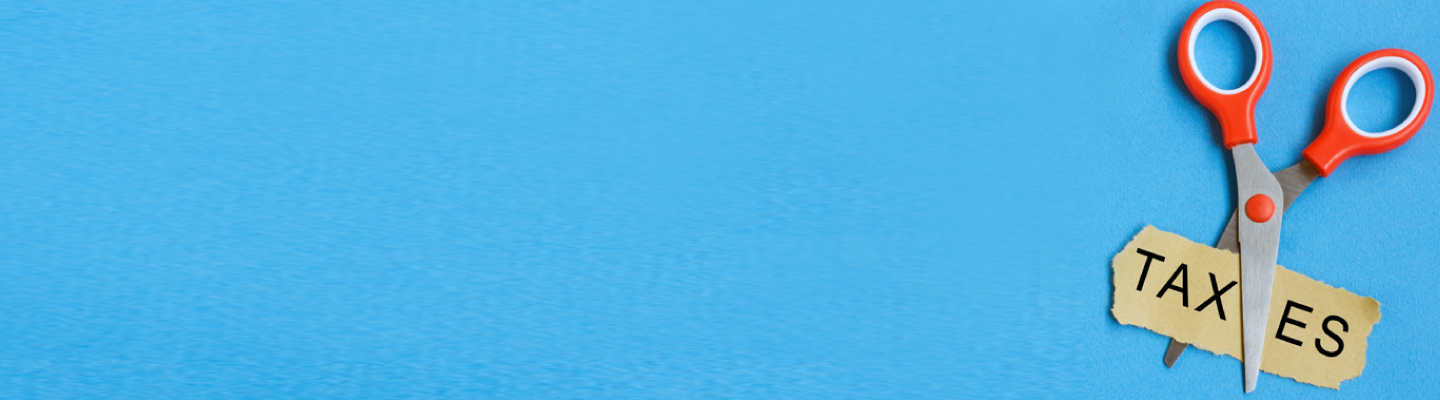 evaluating-the-benefits-of-tax-saver-funds evaluating-the-benefits-of-tax-saver-funds