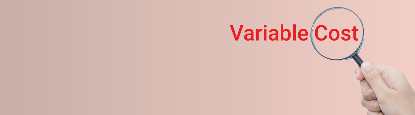 variable cost meaning variable cost meaning