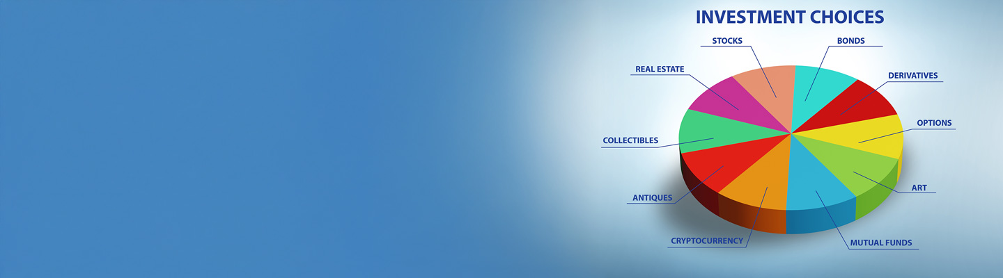 What Are the Different Investment Options NRIs Have?