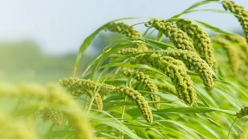 how-to-grow-your-agri-business how-to-grow-your-agri-business