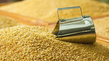 how-to-start-your-own-agri-business how-to-start-your-own-agri-business