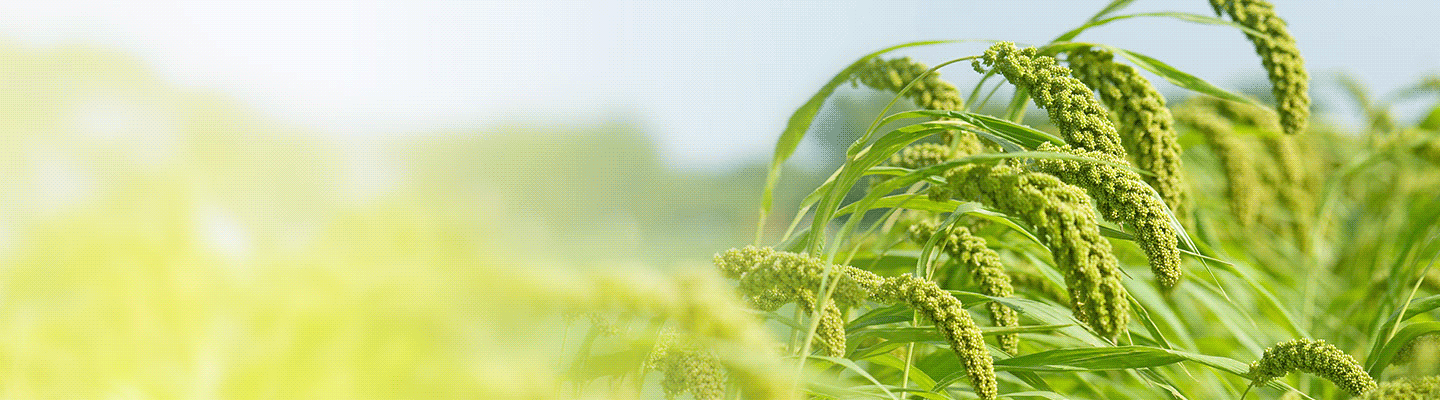 how-to-grow-your-agri-business how-to-grow-your-agri-business