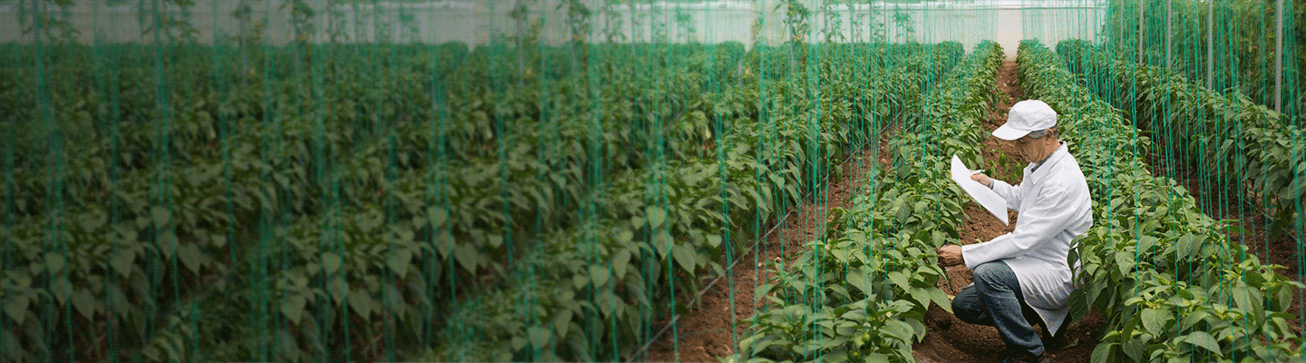 how-to-run-a-agri-business how-to-run-a-agri-business