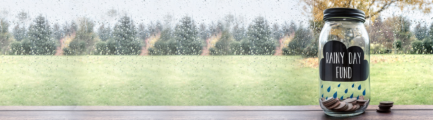 what-is-the-difference-between-normal-fd-and-auto-sweep-fd-d what-is-the-difference-between-normal-fd-and-auto-sweep-fd-d