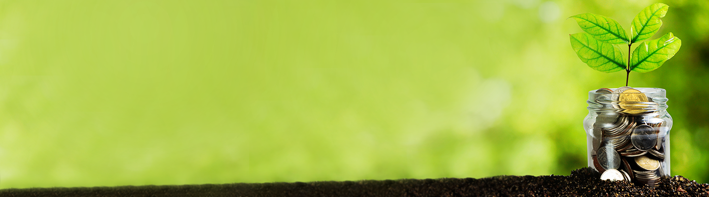 Savings Account - Alpha - The Savings & Investment Programme - Kotak Mahindra Bank Savings Account - Alpha - The Savings & Investment Programme - Kotak Mahindra Bank