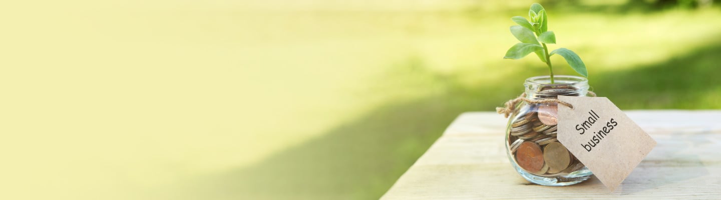 business loans without collateral