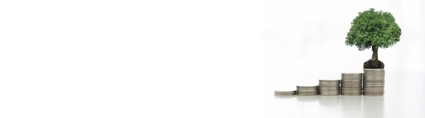 HOW TO INVEST IN SIP