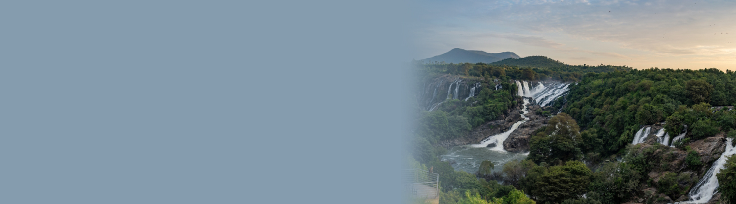 kaveri online services