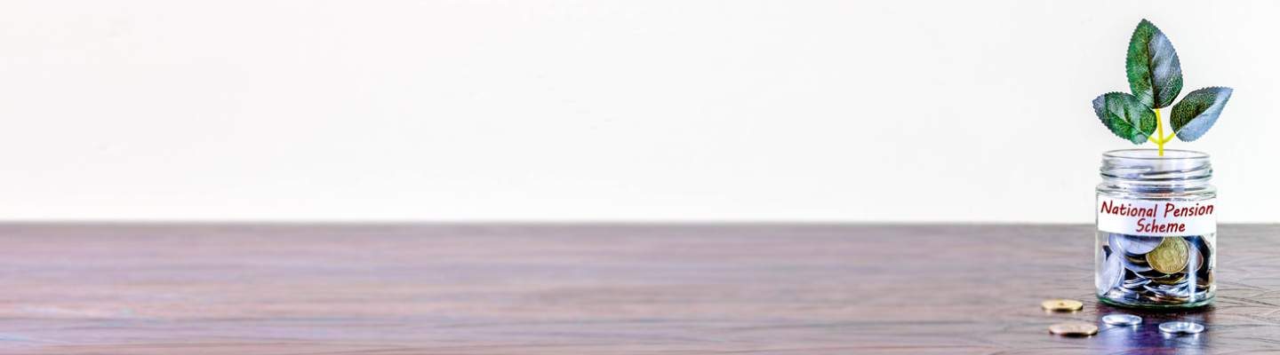 What are National Pension Scheme Rules What are National Pension Scheme Rules