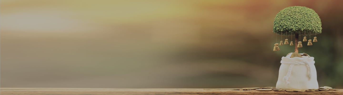 tax-savings-dekstop tax-savings-dekstop