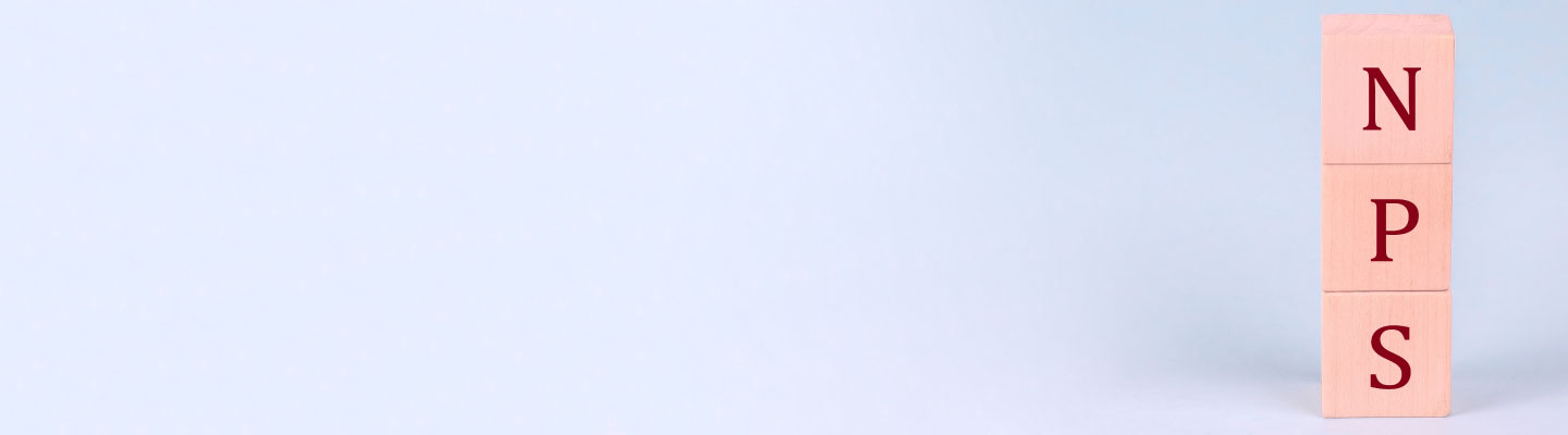 Types of National Pension Scheme (NPS) Accounts Types of National Pension Scheme (NPS) Accounts