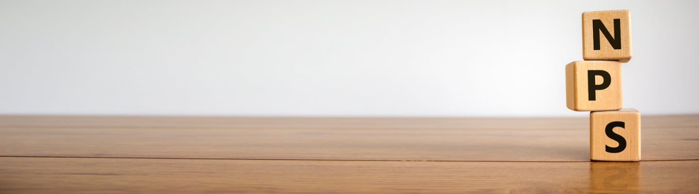 Understanding NPS Online Payment Methods Understanding NPS Online Payment Methods