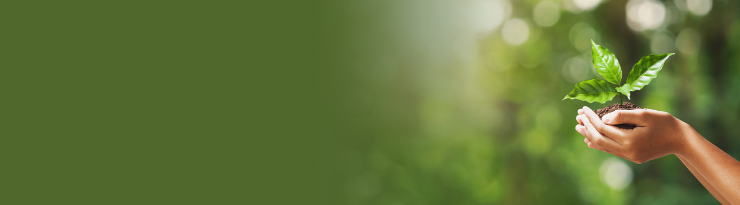 ways-you-can-make-your-home-and-lifestyle-more-ecofriendly-this-world-earth-day-d ways-you-can-make-your-home-and-lifestyle-more-ecofriendly-this-world-earth-day-d