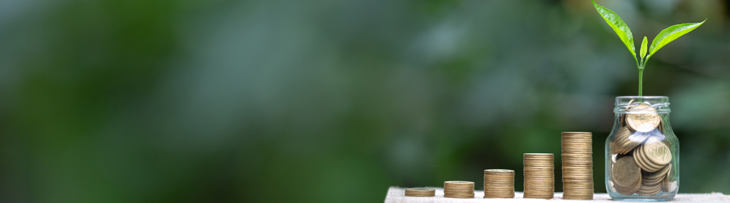 What are Growth Mutual Funds and its Benefits What are Growth Mutual Funds and its Benefits