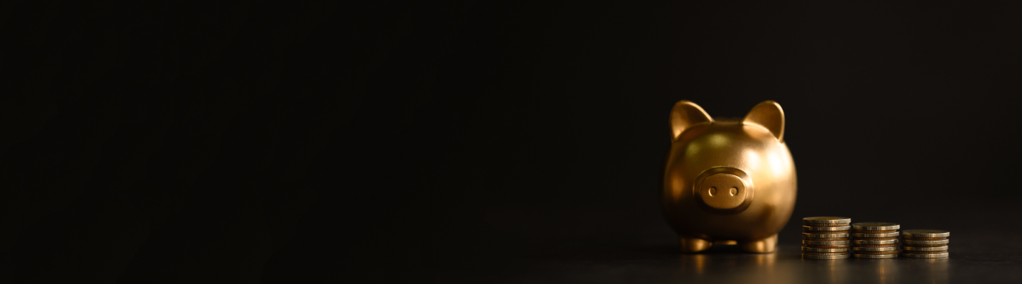 Blue Chip Funds - Types and Advantages Blue Chip Funds - Types and Advantages