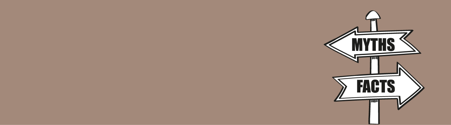 common-myths-desk common-myths-desk