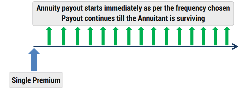 how-does-the-plan-work