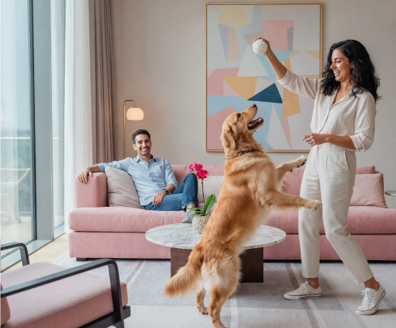 privy-plus-555-x-460